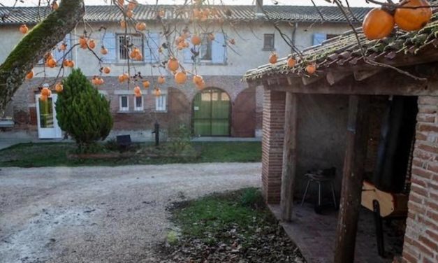 UNE RÉSIDENCE ARTISTIQUE AU CENTRE ÉDUCATIF L’ALBATROS