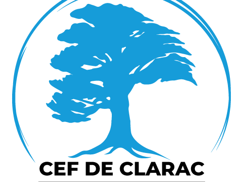 SURVEILLANT DE NUIT F/H